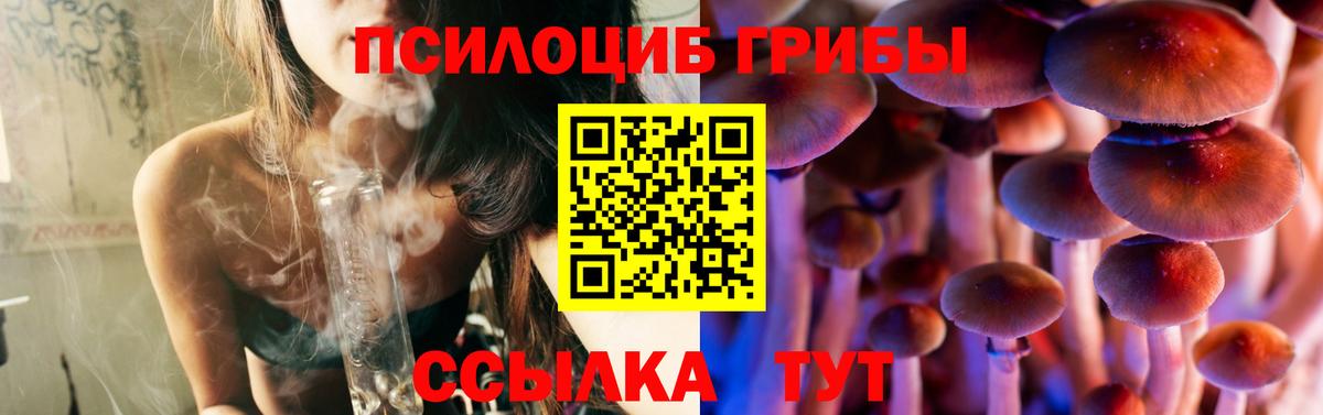 Галлюциногенные грибы Psilocybe Ялта